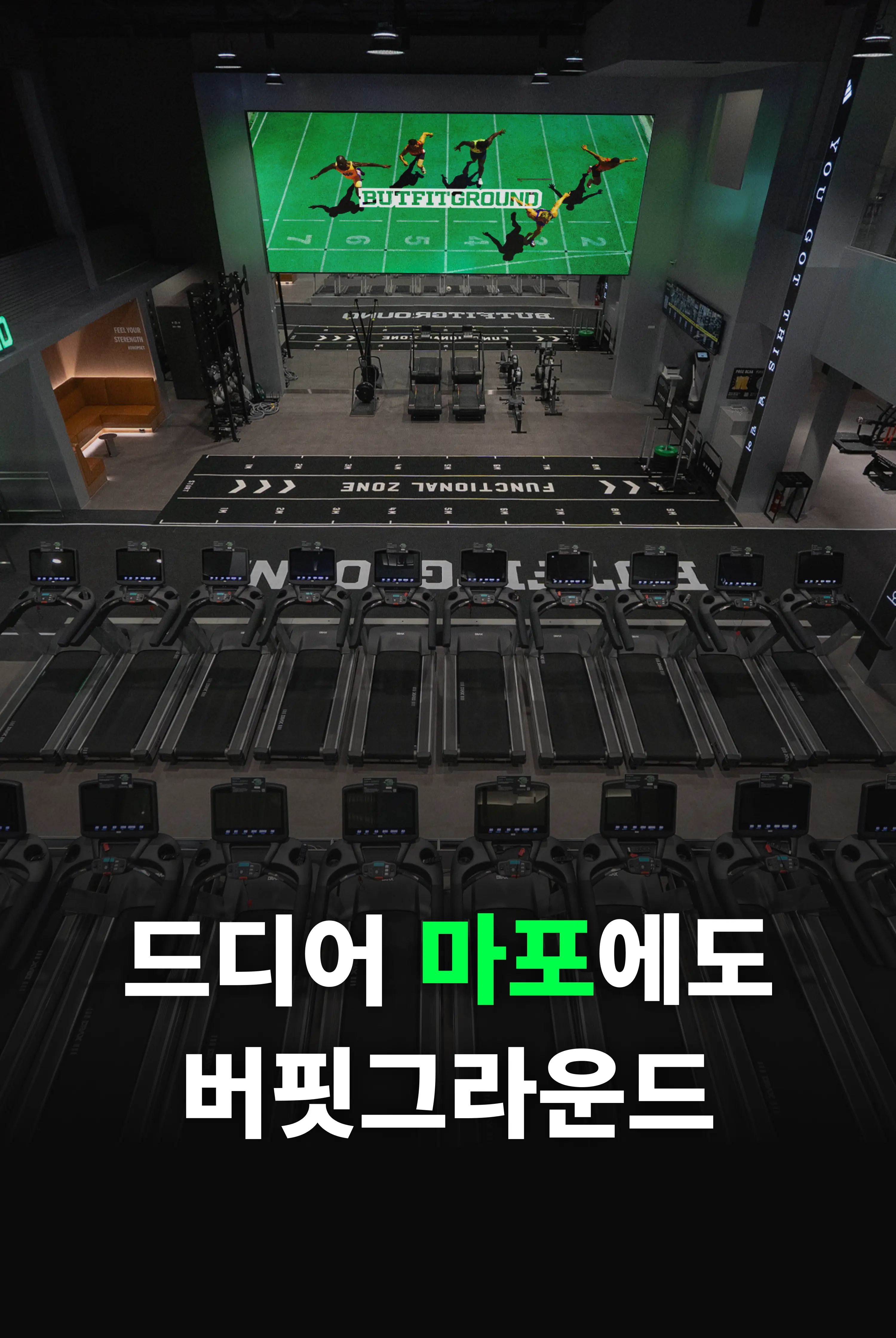 마포 헬스장 히어로 이미지